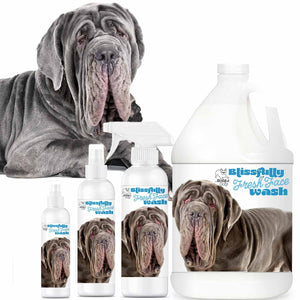 Neapolitan Mastiff face wash