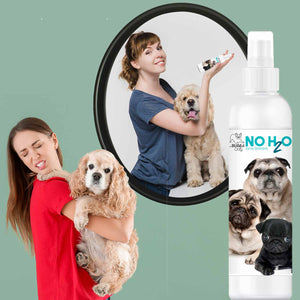 spray shampoo for senior dogs
