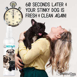spray shampoo for french bulldog