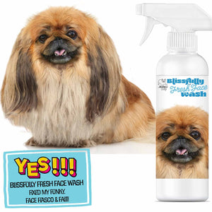 Pekingese face cleansing