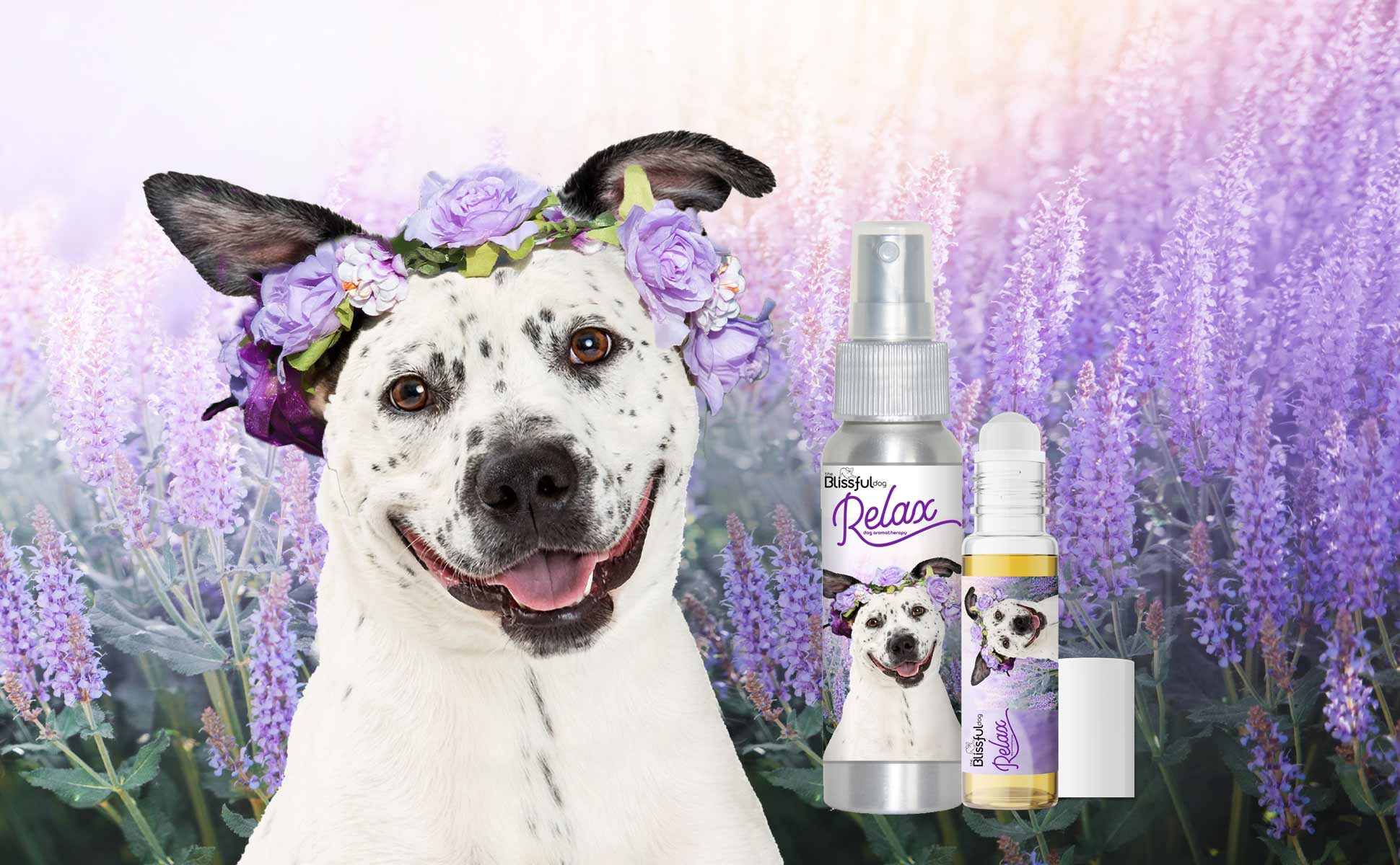 relax aromatherapy for dogs