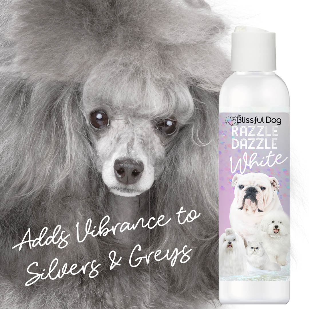 silver poodle shampoo
