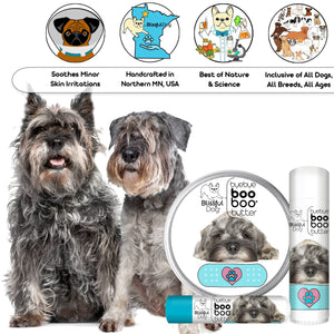 schnauzer itchy skin
