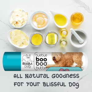 Soft Coated Wheaten Terrier itchy