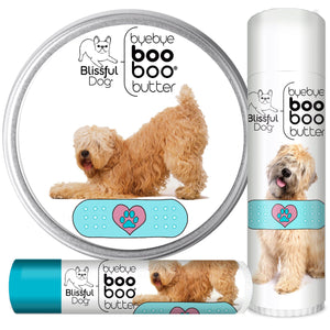 Soft Coated Wheaten Terrier