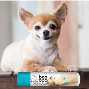 balm for senior dog's skin