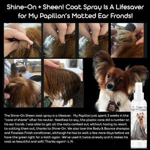 dog coat spray detangler