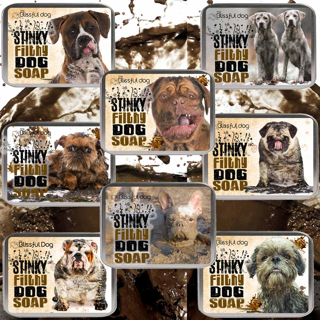 Stinky filthy dog soap