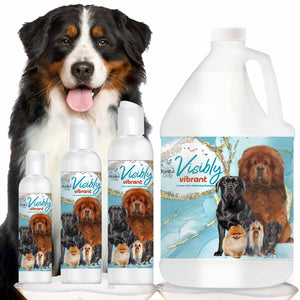 BERNESE MUNTAIN DOG SHAMPOO