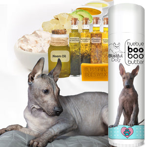 skin care for Xoloitzcuintli