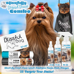 Yorkie face shampoo