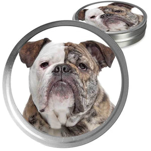Olde English Bulldogge Custom Combo