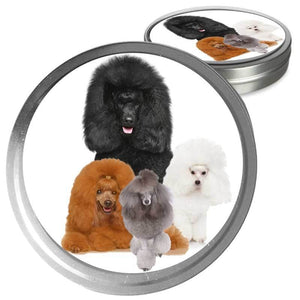 Poodle Custom Combo
