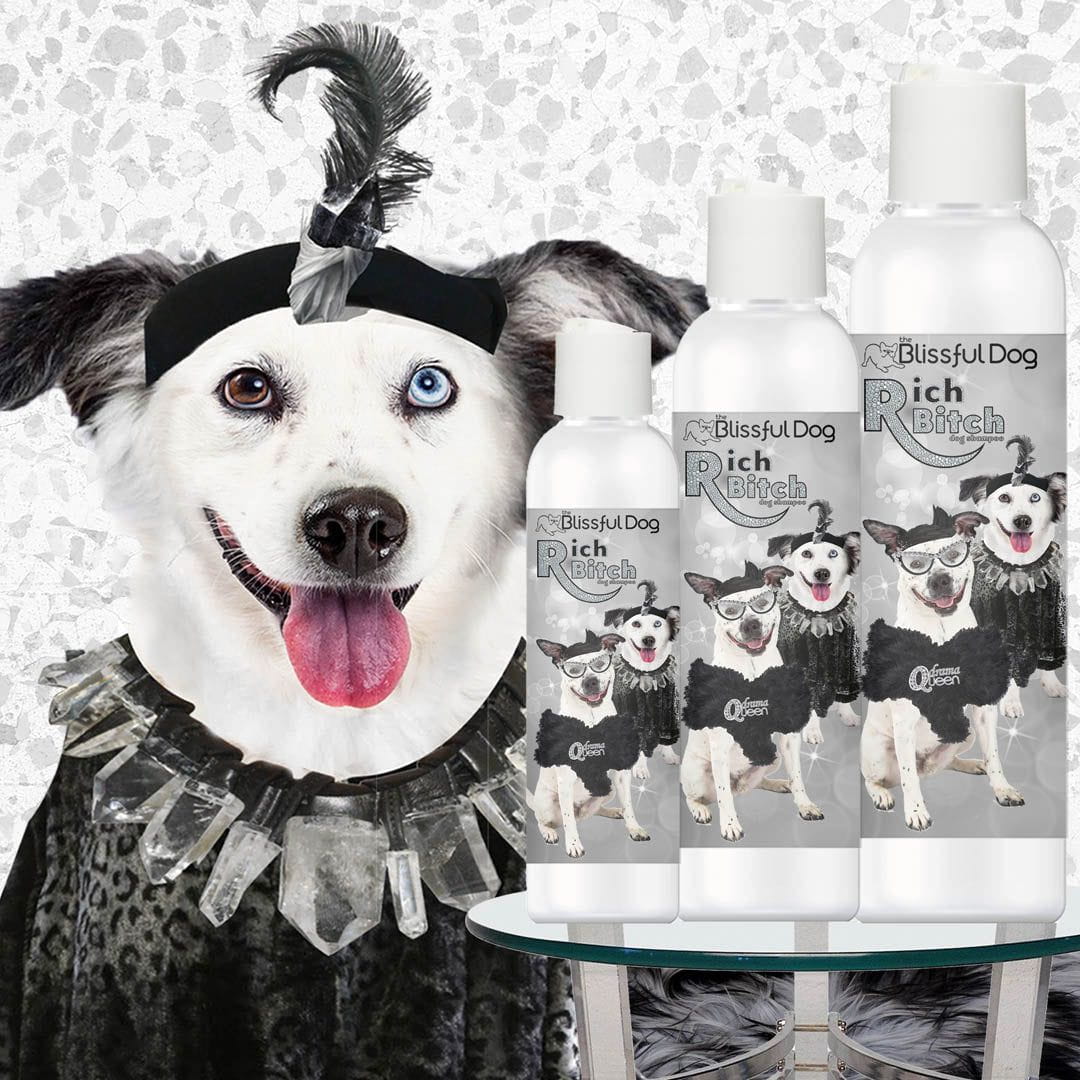 Drama Queen dog shampoo