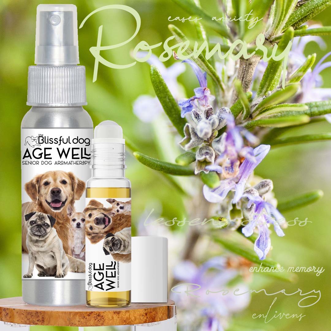 3 Old Friends Age Well Dog Aromatherapy