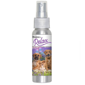 dog calming aromatherapy