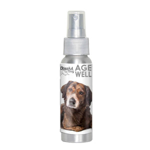 Mixed Breed Age Well Dog Aromatherapy