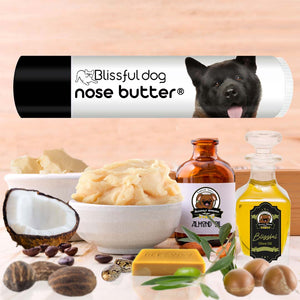 akita has dry nose