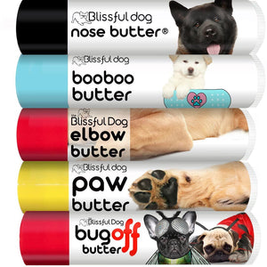 akita dog grooming