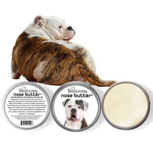american bulldog care