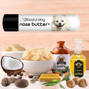 american eskimo dog care