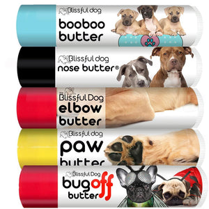 american staffordshire terrier skin care