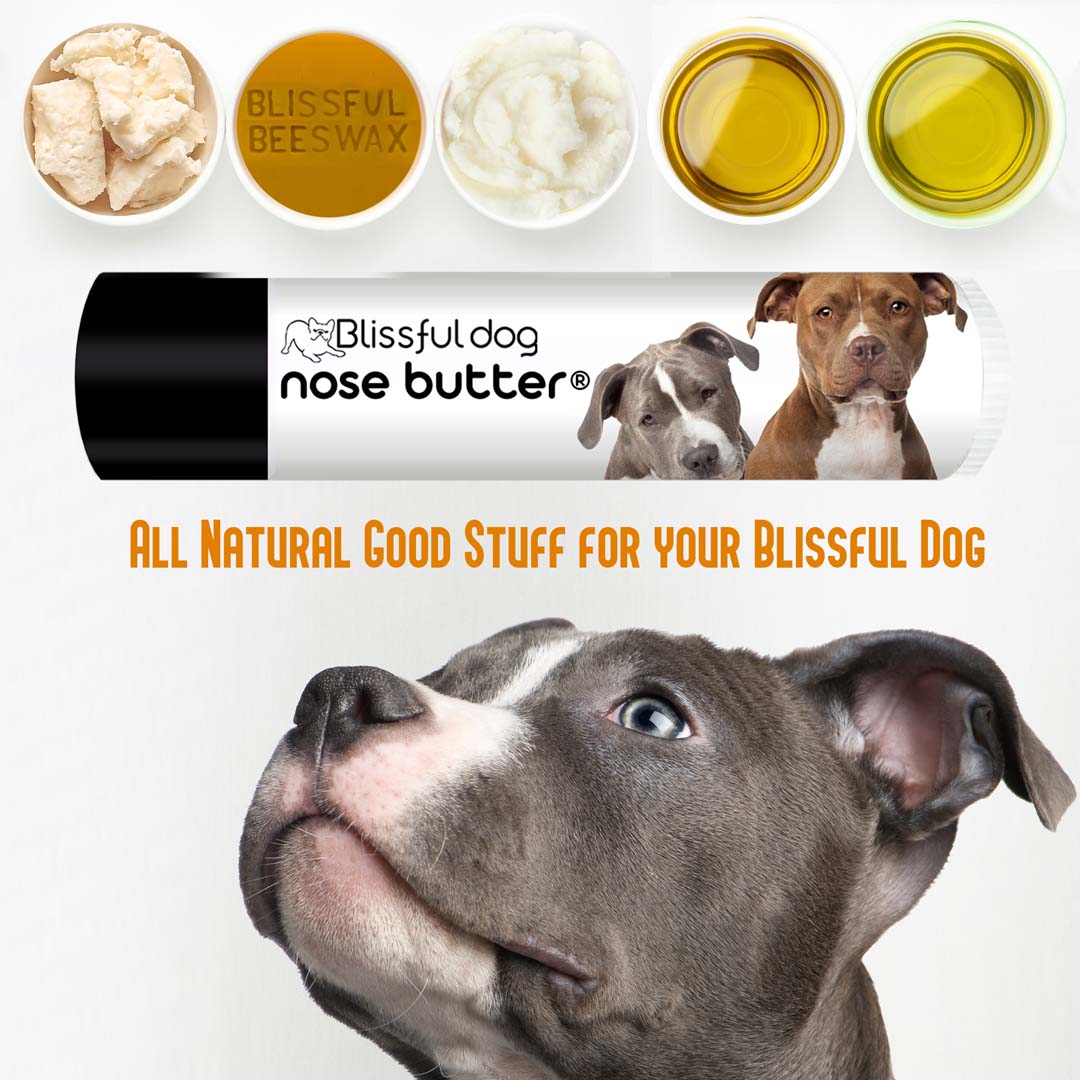 american staffordshire terrier skin care