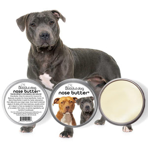 American Staffordshire Terrier dry nose