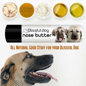 Anatolian Shepherd from Turkey