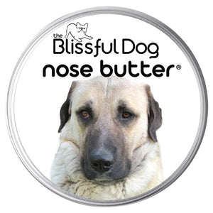 Anatolian shepherd nose