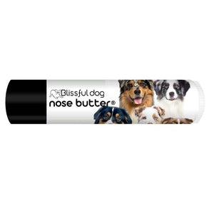 Australian Shepherd Nose Butter