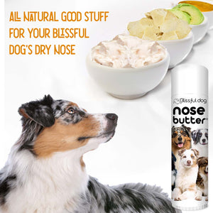 australian shepherd nose treatment