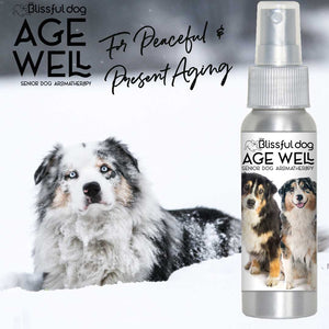 Australian Shepherd Age Well Dog Aromatherapy