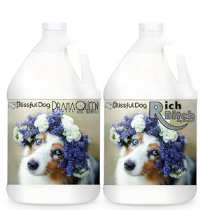 blue merle australian shepherd dog shampoo