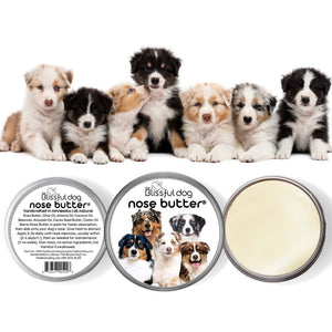 australian shepherd nose butter