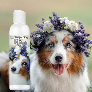 australian shepherd deep cleaning dog shampoo
