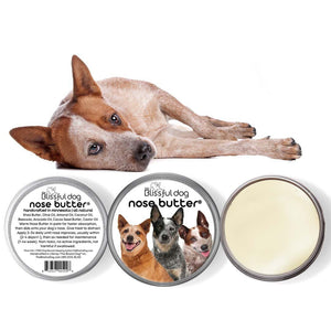 Australian Cattle Dog nose butter