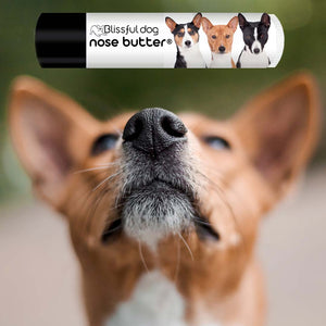 basenji nose help