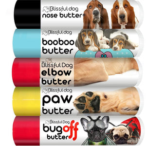 basset dry skin