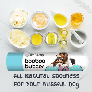 beagle skin care