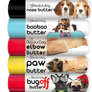 beagle dog care