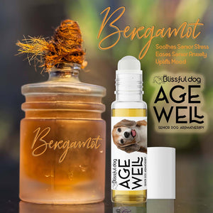 aromatherapy for senior beagle