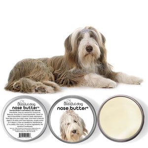 Bearded Collie dry nose
