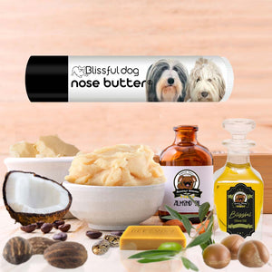 bearded collie care