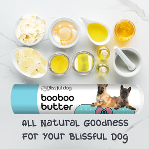 belgian malinois scratches skin