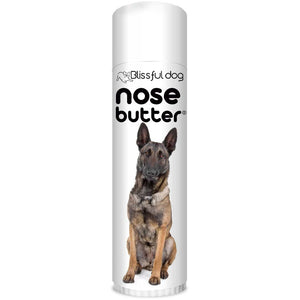 Belgian Malinois has dry Nose