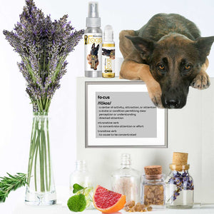 Belgian Malinois focus ingredients