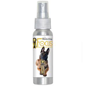 Belgian Malinois focus dog aromatherapy