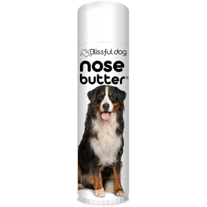 Bernese Mountain Dog nose treatment