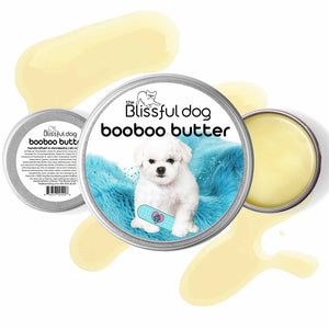 bichon frise skin